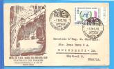 Museum Of Wine, Vineyard, Museo Del Vino, Grape.Spain Postal Cover 1970 - Vins & Alcools