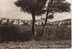 CAPRACOTTA ( ISERNIA ) PANORAMA LATO SUD EST - 1957 - Isernia