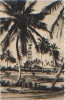 Lomé (Togo) Le Phare, Carte Postale Ayant Circulé En 1952, Timbre Décollé, Photo Ménant, Bon état - Togo