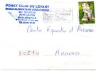 Enveloppe Timbrée De 1999 Avec Un Timbre D'un Chien Montagne Des Pyrénnées - Covers & Documents