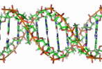 ( AN03-046  ) @      DNA Chemistry Biochemistry Gene  .   Pre-stamped Card  Postal Stationery- Articles Postaux - Chimie
