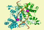 ( AN03-059  ) @      DNA Chemistry Biochemistry Gene  .   Pre-stamped Card  Postal Stationery- Articles Postaux - Chemistry