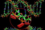 ( AN03-060  ) @      DNA Chemistry Biochemistry Gene  .   Pre-stamped Card  Postal Stationery- Articles Postaux - Chemistry