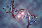 ( AN03-061  ) @      DNA Chemistry Biochemistry Gene  .   Pre-stamped Card  Postal Stationery- Articles Postaux - Chimie