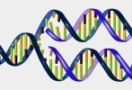 ( AN03-064  ) @      DNA Chemistry Biochemistry Gene  .   Pre-stamped Card  Postal Stationery- Articles Postaux - Chemistry