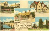 UK, United Kingdom, Greetings From Stratford Upon Avon, Unused Postcard [P7451] - Stratford Upon Avon