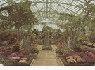 ZS9755 New York City Planting Fields Arboretum Used Perfect Shape - Long Island