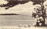 Mount Baker From Oak Bay - Victoria