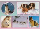 Cp , ANIMAUX  , Les Chiens De Nos Montagnes , Multi-Vues - Chiens