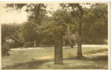 UK, United Kingdom, New Forest, Rufus Stone, 1959 Used Postcard [P7541] - Altri & Non Classificati