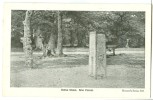 UK, United Kingdom, Rufus Stone, New Forest, Early 1900s Unused Postcard [P7549] - Altri & Non Classificati