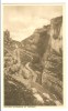 UK, United Kingdom, The Wild Splendor Of Cheddar, Old Unused Postcard [P7550] - Cheddar