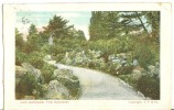 UK, United Kingdom, Kew Gardens, The Rockery, 1906 Used Postcard [P7581] - Surrey