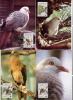 Mauritius:  WWF Birds  "pigeon Des Mares" 1985  Lot De 4 - Mauricio (1968-...)