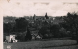 CP SM PF  (87)  CHATEAUNEUF LA FORÊT  /  Vue Générale  - - Chateauneuf La Foret