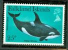 FALKLAND ISLAND BALEINE - Baleines