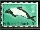 FALKLAND ISLAND BALEINE - Wale