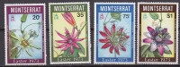 P3777 - MONTSERRAT Yv N°288/91 ** FLEURS - Montserrat