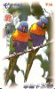 TARJETA DE CHINA DE DOS LOROS  (4-2) (BIRD-PAJARO-PARROT-COTORRA) - Loros