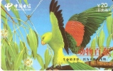 TARJETA DE CHINA DE UN LORO  (BIRD-PAJARO-PARROT-COTORRA) - Loros