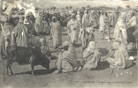 AFRIQUE DU NORD - ALGERIE - Scène Sur Un Marché Arabe - Hombres