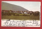 B1307 Bière, Vue Générale.Prés Et Champs..Précurseur.Cachet 1902 - Bière