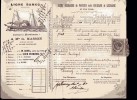 RECU - TRANSPORT-LIGNE REGULIERE DE VAPEURS ENTRE BORDEAUX ET L´ESPAGNE - DEMI MUIDS VIN ROUGE - 02/01/1884 - Transport
