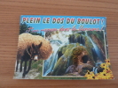 Carte Postale "PLEIN LE DOS DU BOULOT, J'me Repose Dans Le Vercors (âne Et Cascade)"  Editions CELLARD - Vercors