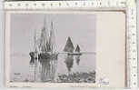 PO0321B# VENEZIA - CHIOGGIA - IN PORTO - VELE  No VG - Chioggia