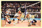 Postal Stationery Card Volleyball Pre-stamped Card 0638 - Volleybal