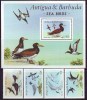 ANTIGUA BARBUDA  - SEA BIRDS  - 1990 - **MNH - Albatros