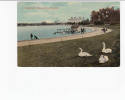 OLD FOREIGN 6275 - UNITED KINGDOM - SWANS AND CANOE ,  SOUTHSEA - Sonstige & Ohne Zuordnung