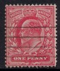 GB 1902 -11 KEV11 1d RED USED STAMP WMK 49 (A14) - Usati