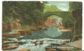 UK, United Kingdom, Jesmond Dene, Newcastle On Tyne, Early 1900s Unused Postcard [P7663] - Newcastle-upon-Tyne