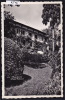 Chardonne : Hôtel Bellevue, Depuis Ses Jardins - Vers 1959 (6515) - Chardonne