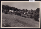 Châtel Par Essertines Sur Rolle ; Grand Format 10 / 15 (6524) - Essertines-sur-Rolle