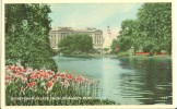 UK, United Kingdom, London, Buckingham Palace From St. James's Park, 1920s-1930s Unused Postcard [P7806] - Buckingham Palace