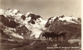 Steinalp Blick Auf Tierberge Und Oiglistock - Berg