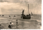 COTE  D' OPALE - Départ Pour La Promenade En Mer (carte Photo ) - Nord-Pas-de-Calais