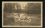 PHOTO POSTCARD ENFANTS DONGELBERG  BELGIUM BELGIQUE CARTE POSTALE - Geldenaken