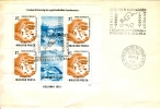 HUNGARY - 1973.FDC Sheet - Conference For European Security And Cooperation,Helsinki Mi:BL.99 - Institutions Européennes