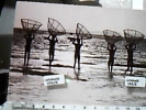 KENYA  PESCATORI  MOONLIGHT FISHING  EAST AFRICAN COAST VB1972  DL358 - Kenia