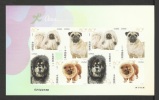 Chine China  2006-6 ** Feuillet Chiens Auto-collants Adhesive Stamps Chien Dog Perro Hund Dogs Hunde Perros - Unused Stamps