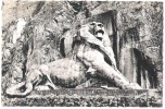 CARTE POSTALE - BELFORT - LE LION - Belfort – Le Lion