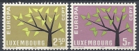 1962 EUROPA LUSSEMBURGO MNH ** - 1962