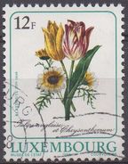 LUXEMBOURG  N°1142__ OBL VOIR SCAN - Usati