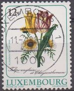 LUXEMBOURG  N°1142__ OBL VOIR SCAN - Usados