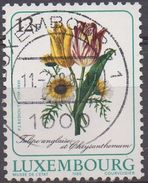 LUXEMBOURG  N°1142__ OBL VOIR SCAN - Usati