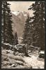 Am Weg Nach Gummenalp Hasiberg Wetterhörner Meiringen 1956 - Meiringen