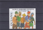Scoutisme - Guyane - Jamborée - Bloc Oblitéré  - Valeur 14 Euros - Used Stamps